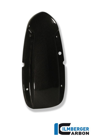 Osłona alternatora z włókna węglowego - bmw r 1100 gs / r 1150 gs / r 1100 s / r 1150 r carbon ILMBERGER LMD.004.R1100.K