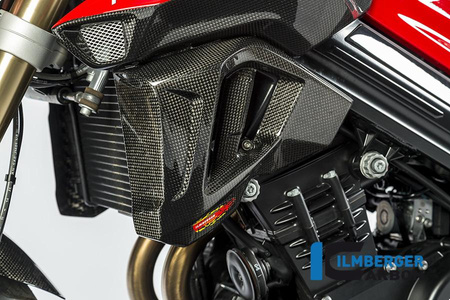 Osłona chłodnicy lewa - BMW F 800 R od 2015 ILMBERGER WKL.103.F8R15.K