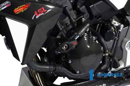 Pokrywa alternatora karbonowa - honda CB 1000 R od 2008 ilmbeger LMD.003.CB10R.K