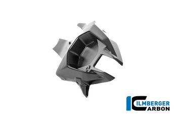 Osłona wahacza lewa - carbon matowy DUCATI Panigale V4 / V4 S (od 2025) ILMBERGER CM.SCL.007.V4P24