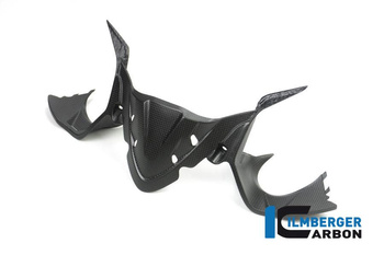 Panel instrumentów matowy carbon Ducati Panigale 1299 (od 2015) Einzelstcke Ducati - ilmbeger IAO.106.1299M.K.