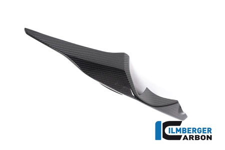 Jednostka siedzenia prawa - BMW M 1000 RR Strasse (2021-2022), motocykl, ILMBERGER CG.SIR.018.S119S