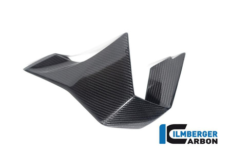 Winglet lewy boczny do motocykla BMW M 1000 RR Racing (2023-2024) - ilmbeger CG.VFL.004.M123S