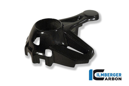 Osłona obudowy napędu stożkowego - carbon BMW R 1200 GS (LC 2013-2016) ILMBERGER KGS.031.GS12L.K