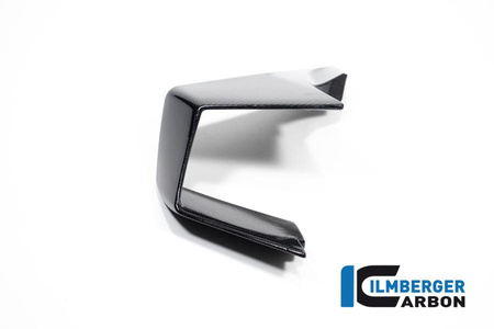 Winglet lewy boczny do motocykla BMW M 1000 RR Racing (2023-2024) - ilmbeger CG.VFL.004.M123S