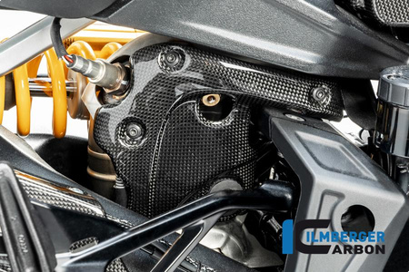 Ochrona kolektora wydechowego - połysk do Ducati Diavel 1260 (od 2019) ILMBERGER AHD.004.DI19G.K