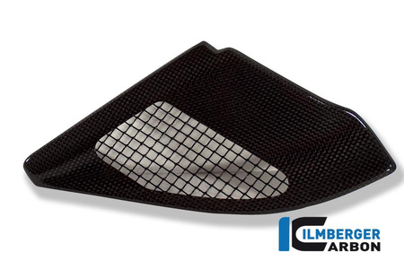 Osłona wtrysku carbon - BMW R 1200 GS (2004-2007) ILMBERGER 8160973