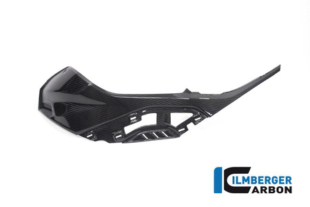 Panel boczny zbiornika lewy z mocowaniami do panelu OEM - BMW M 1000 R (2023-2024) ILMBERGER CG.SDL.021.S119S