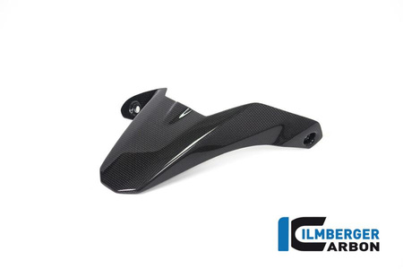 Błotnik tylny carbon gloss - Ducati Monster 1200 od 2017 ILMBERGER KHO.014.DSS7G.K