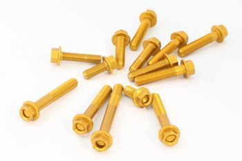 Zestaw śrub do silnika EVOTECH RC BMW