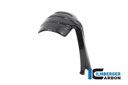 Osłona przeciwbłotna tylna do motocykla BMW R 1250 GS (od 2019) - czarna ILMBERGER SPS.010.GS19T.K