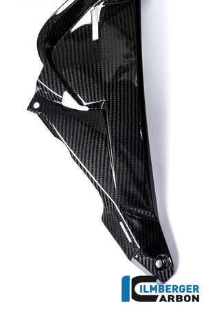 Osłona chłodnicy wodnej prawa - carbon BMW S 1000 R (2014-2016) ILMBERGER WKR.207.S100N.K