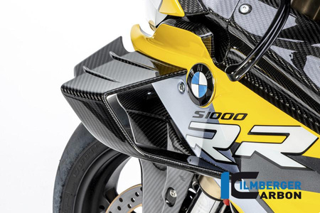 Flap owiewki lewy - BMW M 1000 RR Racing (2021-2022) ILMBERGER VFL.001.M121S.K