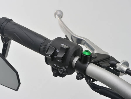 Śruba zaślepka do otworu lusterka  M10-P1.25/prawa zielony