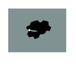 SEBIMOTO OSŁONA POMPY OLEJU CARBON YAMAHA YZF-R6 2006-2007