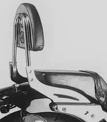 Honda VT 750 D2 Black Widow (2001-2003) sissybar without rack