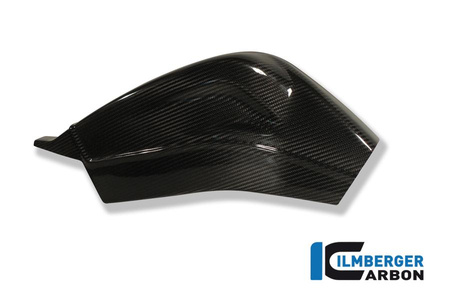 Osłona wahacza (zestaw lewa i prawa) - carbon BMW S 1000 R (2014-obecnie) / S 1000 RR Street (2010-201) / HP4 (od 2012) ILMBERGER SCA.022.S100S.K