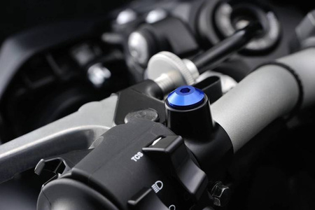 Śruba zaślepka do otworu lusterka  M10-P1.25/prawa niebieski