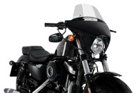 Lekko przyciemniany (H)