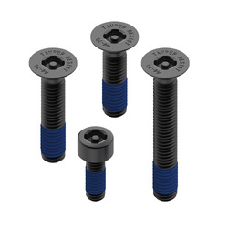 Quad Lock® Anti-Theft Screw Kit