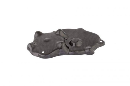 Carbonowa osłona dekla impulsatora LighTech KAWASAKI ZX-6R 2009-2020