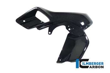 Osłona górna chłodnicy wodnej lewa (airtube) - carbon BMW R 1200 GS (LC) 2013-2016 ILMBERGER WKL.026.GS12L.K