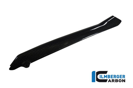 Osłona przewodu hamulcowego carbon do motocykla BMW R 1200 GS (LC) (2013-2016) ILMBERGER BLA.018.GS12L.K
