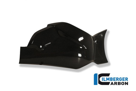 Osłona wahacza i prowadnica łańcucha - carbon HONDA CB 1000 R (od 2008) ILMBERGER SCA.013.CB10R.K