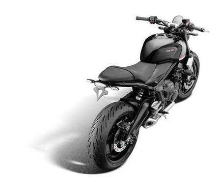 Evotech Performance mocowanie tablicy - Triumph Trident 660 2021-