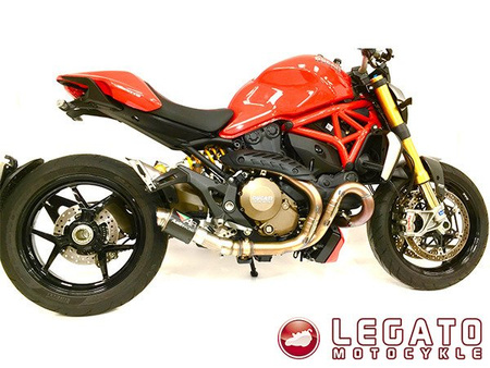 Tłumik końcowy + decat Austin Racing DUCATI MONSTER 821/1200
