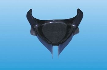 Stelaż przedni sportowy Motoholders Suzuki GSX R 1000/ 05-06 carbonowy