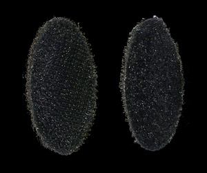 CARDO dystanse do głośników