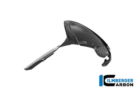 Błotnik tylny carbon gloss do motocykla DUCATI Panigale V4 / V4 S (od 2025) - carbon ILMBERGER CG.KHO.015.V4P24