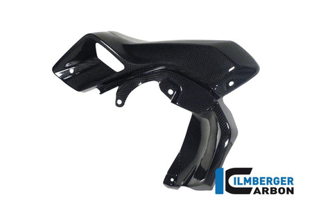Osłona górna chłodnicy wodnej lewa (airtube) - carbon BMW R 1200 GS (LC) 2013-2016 ILMBERGER WKL.026.GS12L.K