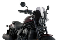 Lekko przyciemniany (H)