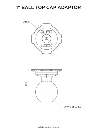 Adapter z 1" kulką standard Ram Mount
