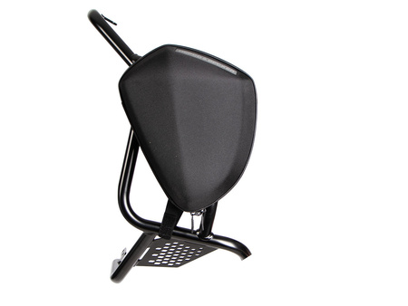 Tankguard black for Ducati DesertX Rally (2024-)