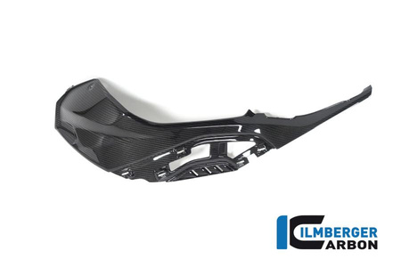 Panel boczny zbiornika lewy z mocowaniami do panelu OEM - BMW M 1000 R (2023-2024) ILMBERGER CG.SDL.021.S119S