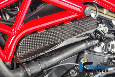Osłona pod ramę lewa - Ducati Monster 1200 / 1200 S (2014-2016) ILMBERGER ARL.005.D12MG.K