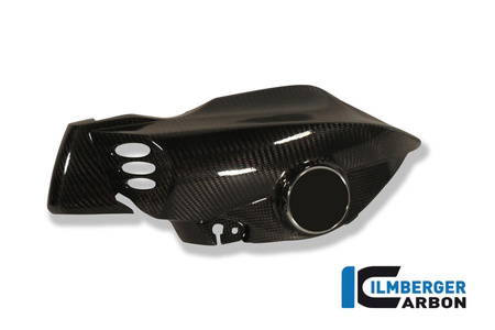 Kanał powietrzny lewy - carbon BMW K 1200 R (2005-2008) ILMBERGER WKL.011.K120R.K