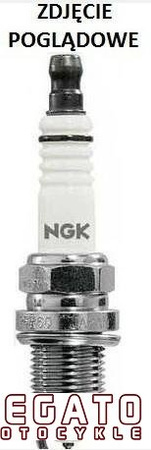 ŚWIECA ZAPŁONOWA NGK LMAR8A-9 (BEZ NAKRĘTKI SAE - GWINT M4)