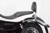 Moto Guzzi California 1400 Custom/Touring/Audace (2013-2016) sissybar without rack