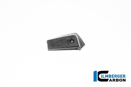 Osłona chłodnicy oleju lewa - carbon glossy BMW R 12 NineT (od 2024) ILMBERGER CG.OKL.013.R12NT