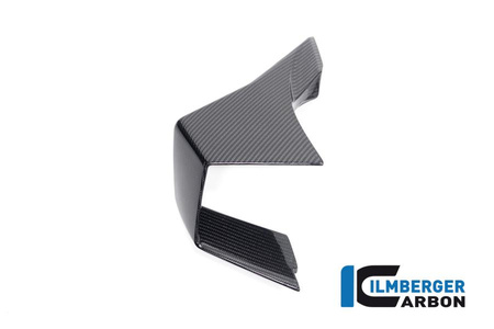 Winglet lewy boczny do motocykla BMW M 1000 RR Racing (2023-2024) - ilmbeger CG.VFL.004.M123S