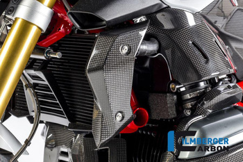 Osłona chłodnicy wody lewa carbon - BMW R 1200 R (LC) od 2015 ILMBERGER WKL.010.R12RL.K