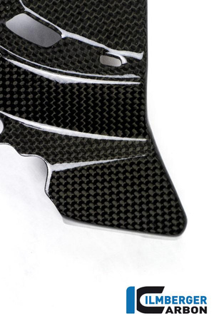 Osłona przedniej zębatki - Ducati Monster 1200 / 1200 S (2014-2016) ILMBERGER RIO.008.D12MG.K