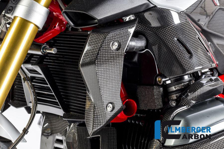 Osłona chłodnicy wody lewa carbon - BMW R 1200 R (LC) od 2015 ILMBERGER WKL.010.R12RL.K