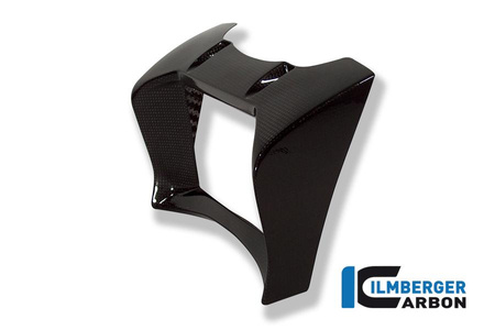 Osłona chłodnicy oleju karbonowa - BMW R 1200 R do 2010 ILMBERGER OKA.008.R120R.K