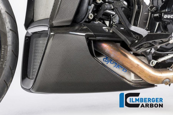Osłona silnika lewa - połysk ducati xdiavel / xdiavel s (2016-17) ILMBERGER VEU.012.XD16G.K