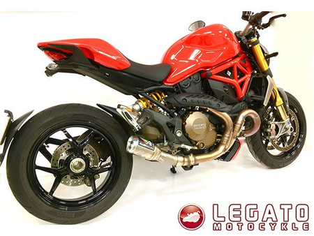Tłumik końcowy + decat Austin Racing DUCATI MONSTER 821/1200